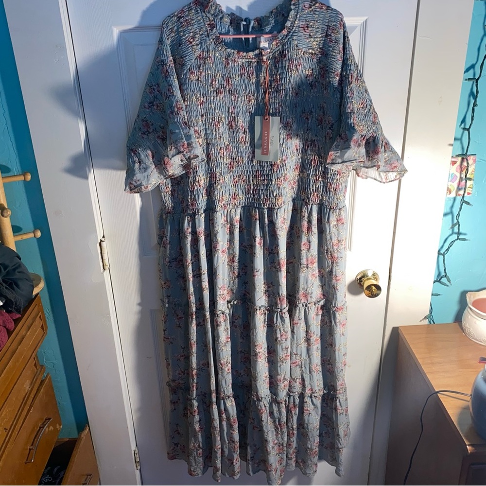 Jessakae Wandering Willoughby Dress in blue floral size 5x